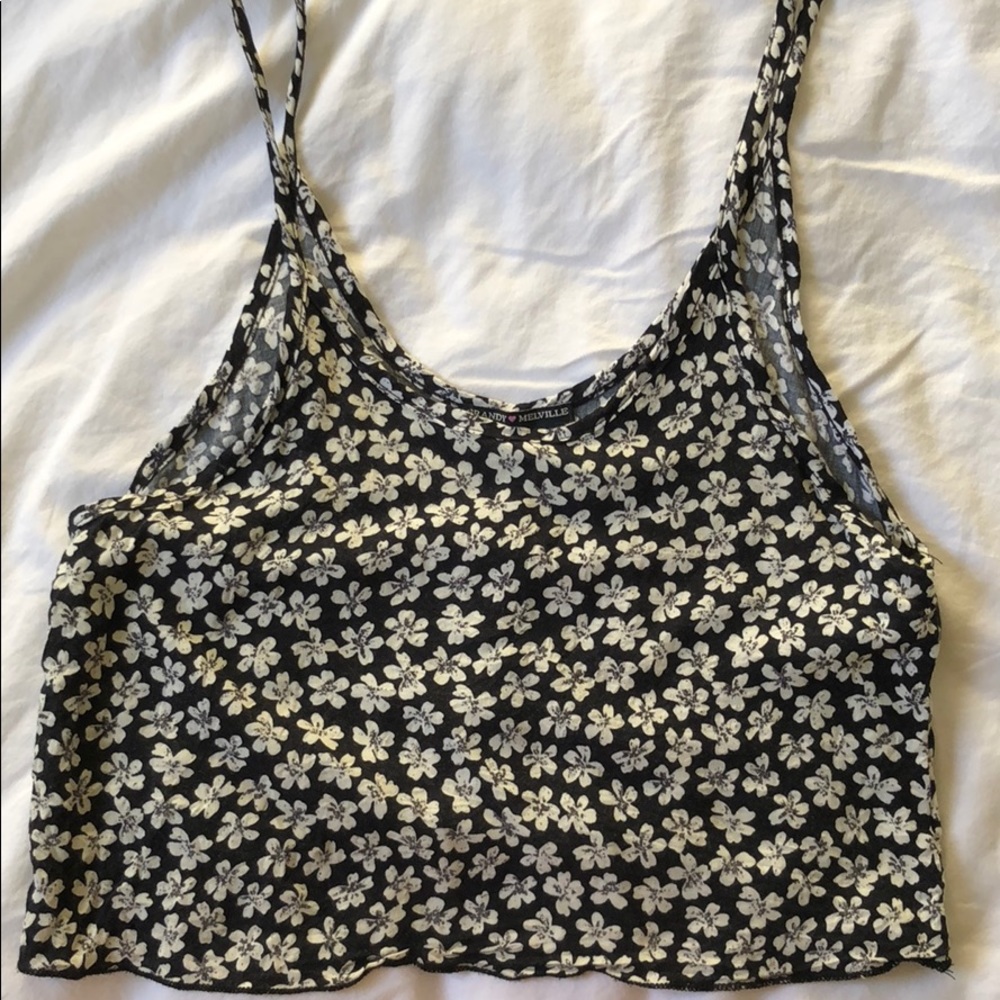 Brandy Melville Jacqueline Crop Top